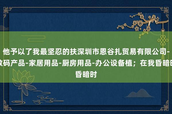 他予以了我最坚忍的扶深圳市恩谷扎贸易有限公司-数码产品-家居用品-厨房用品-办公设备植;在我昏暗时